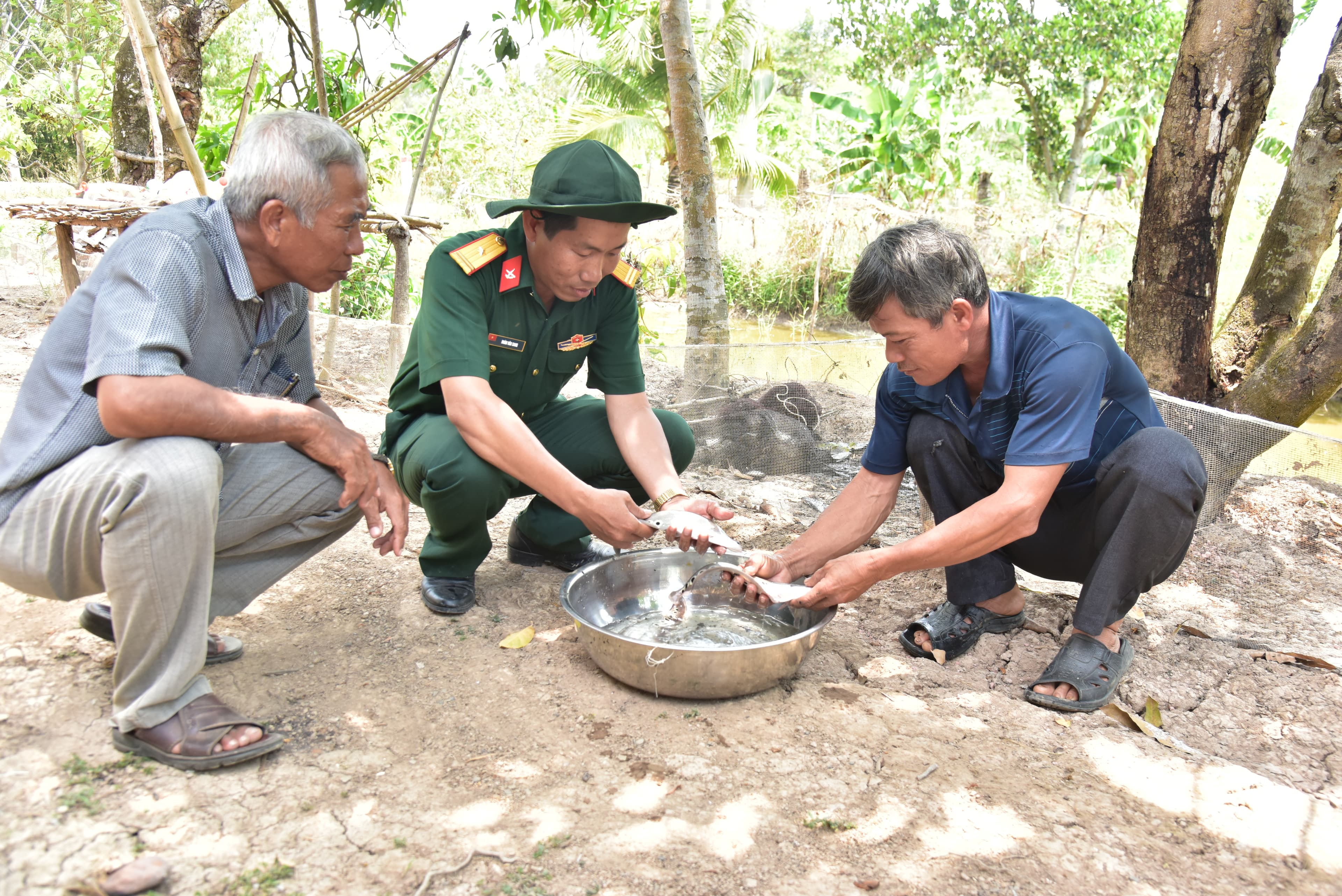 Khởi sắc ở “Bốn lẻ hai”