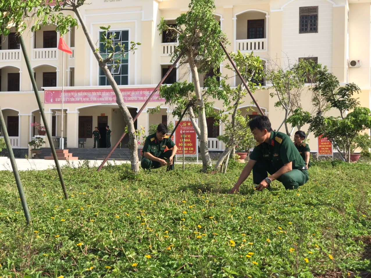 Doanh trại xanh giữa vùng cát trắng