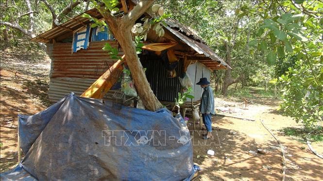 Tìm thấy hai cháu bé sinh đôi mất tích ở Bình Phước