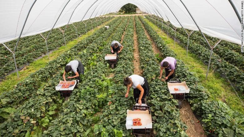 Lao động nhập cư - cái nhìn mới từ nước Anh