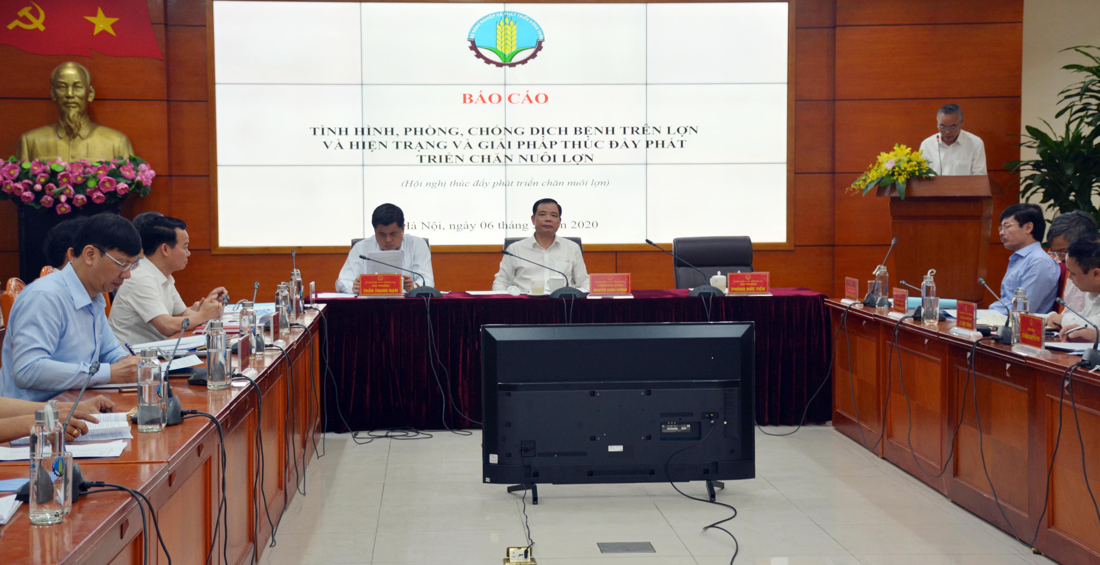 Đẩy mạnh tái đàn lợn nhưng phải chú trọng đến an toàn sinh học