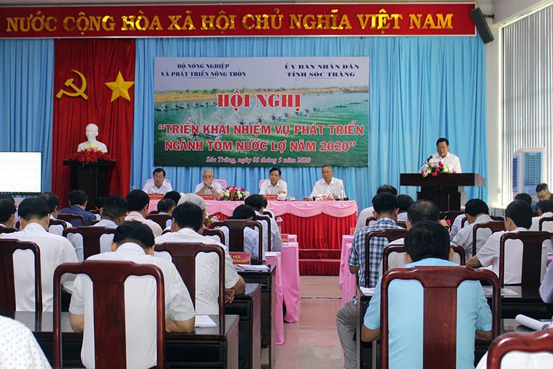 Tín hiệu lạc quan cho ngành tôm Việt Nam năm 2020