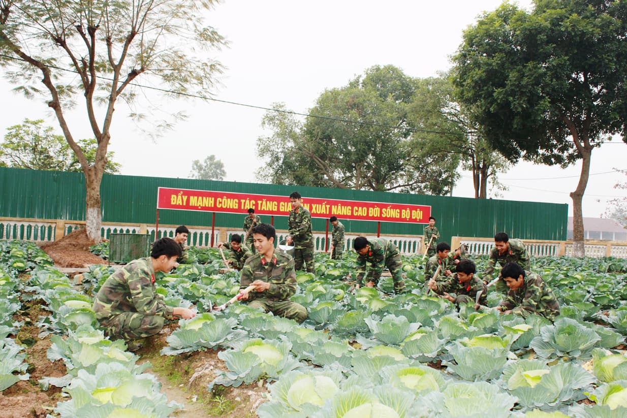 “Đột phá tăng gia, bình ổn giá cả”