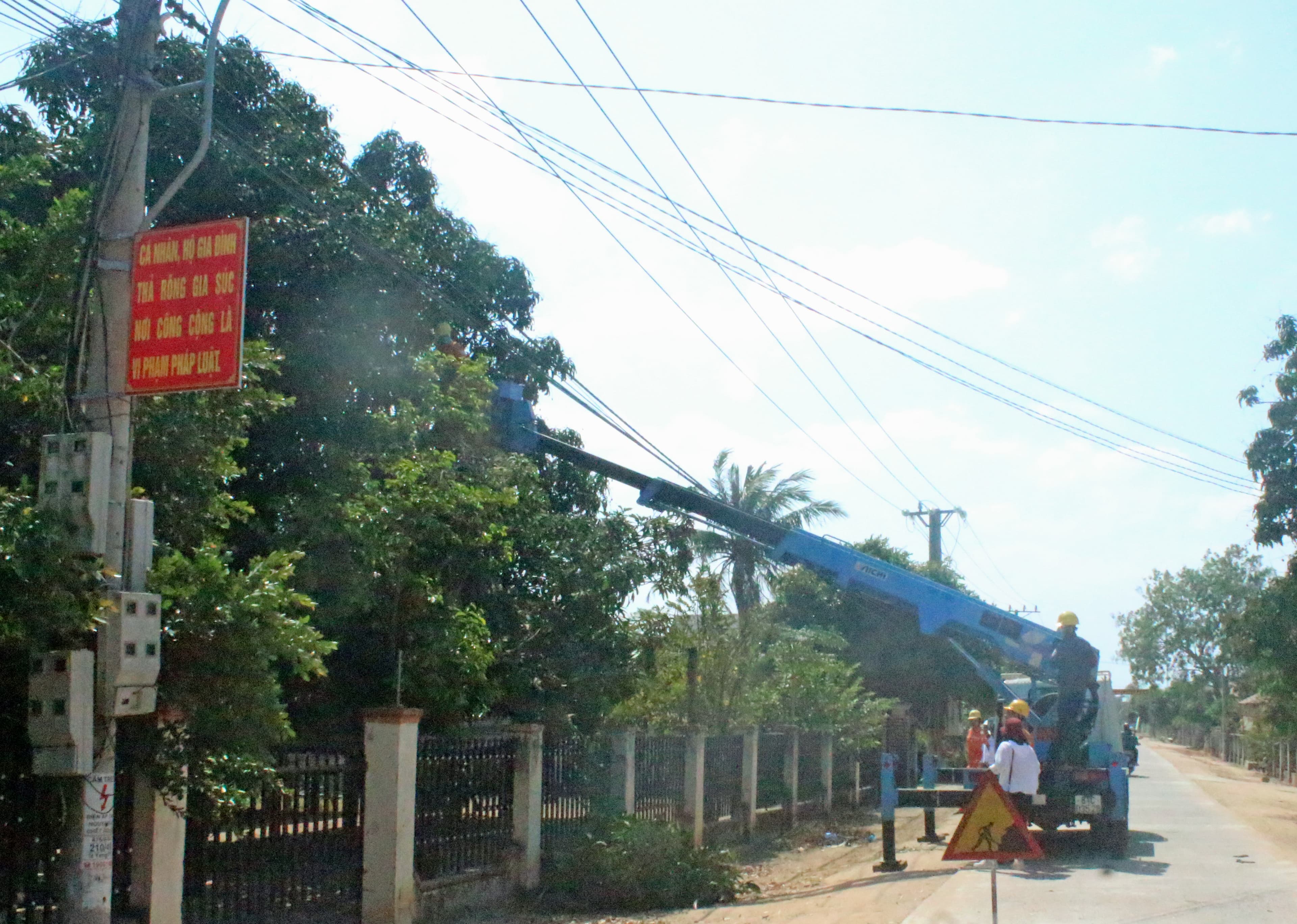 Gia Lai báo động tình trạng vi phạm hành lang an toàn lưới điện