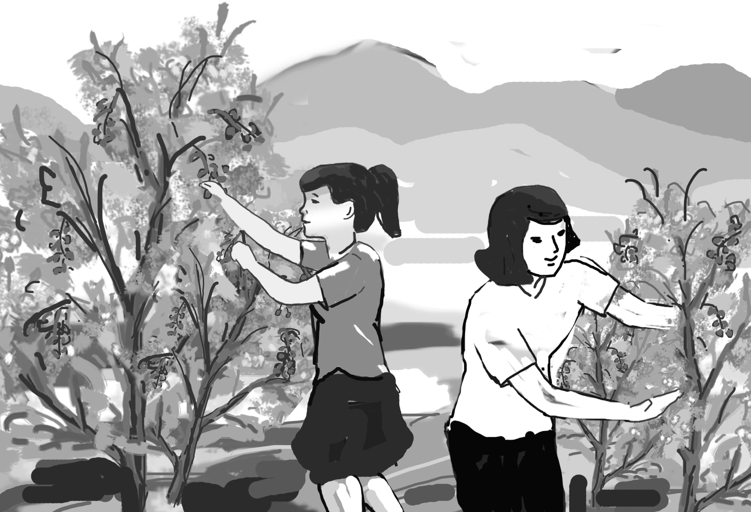Ngọt ngào mùa trái chín