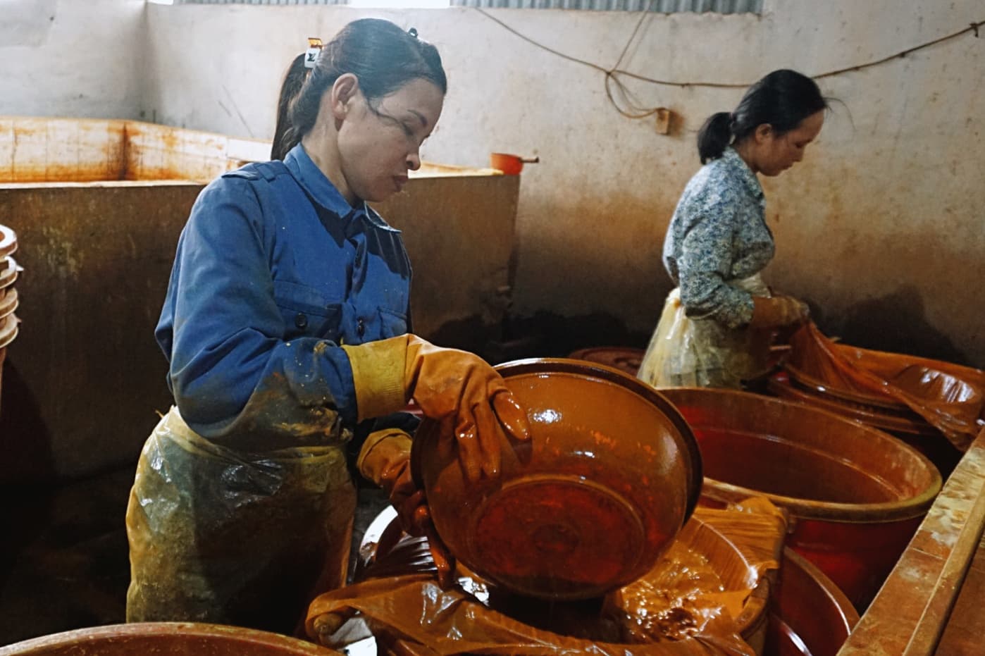 Từ củ nghệ đến sản phẩm “xuất ngoại”