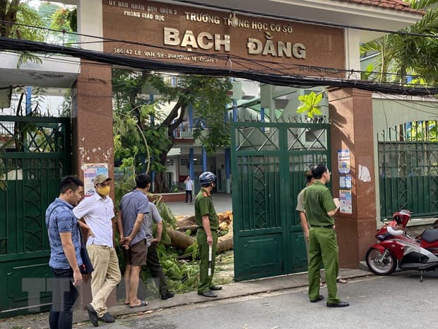 Bộ Giáo dục - Đào tạo chỉ đạo về an toàn trường học sau vụ cây đổ