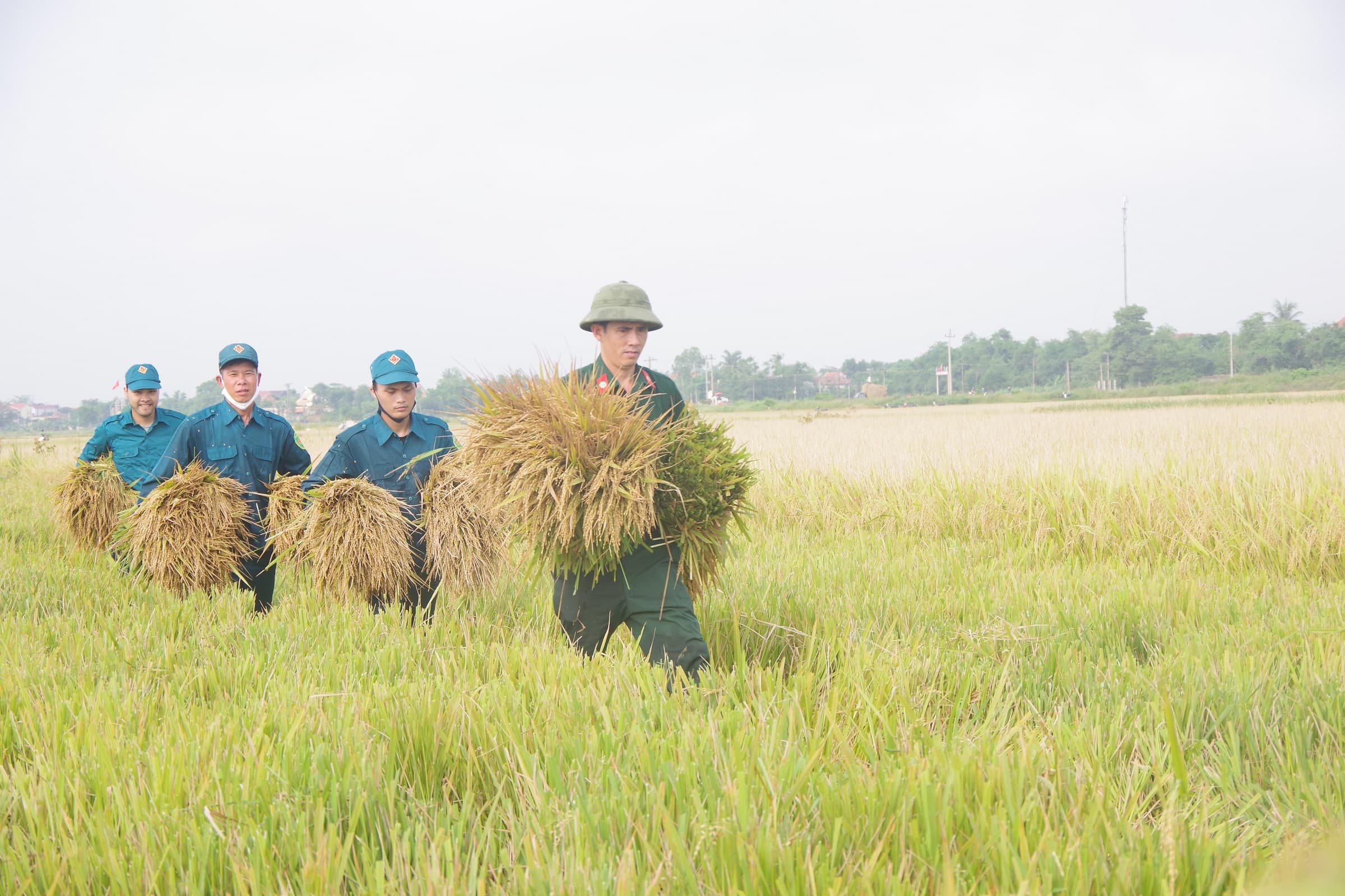 Về Đại Phong hôm nay