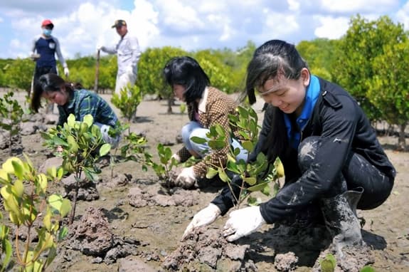 Ngân hàng Thế giới hỗ trợ Việt Nam ứng phó với biến đổi khí hậu