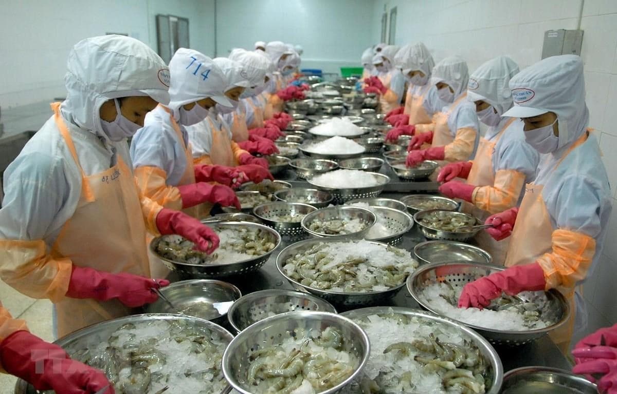 EVFTA đánh dấu một khởi đầu mới trong mối quan hệ giữa Việt Nam và EU