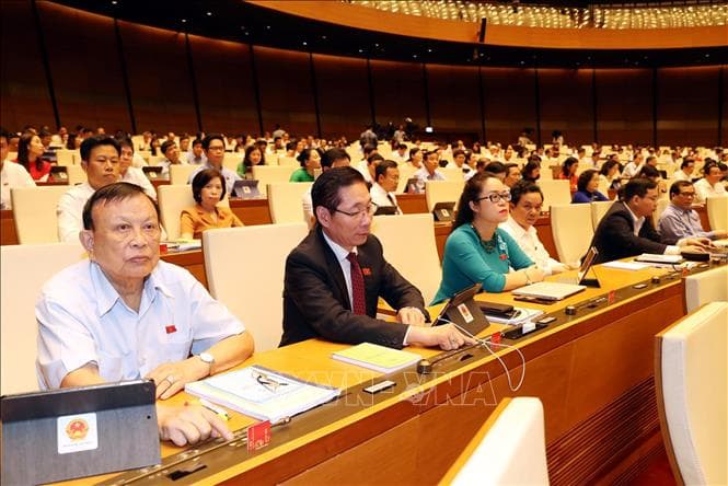 Việt Nam đang chứng tỏ cam kết mạnh mẽ trong chống lao động cưỡng bức