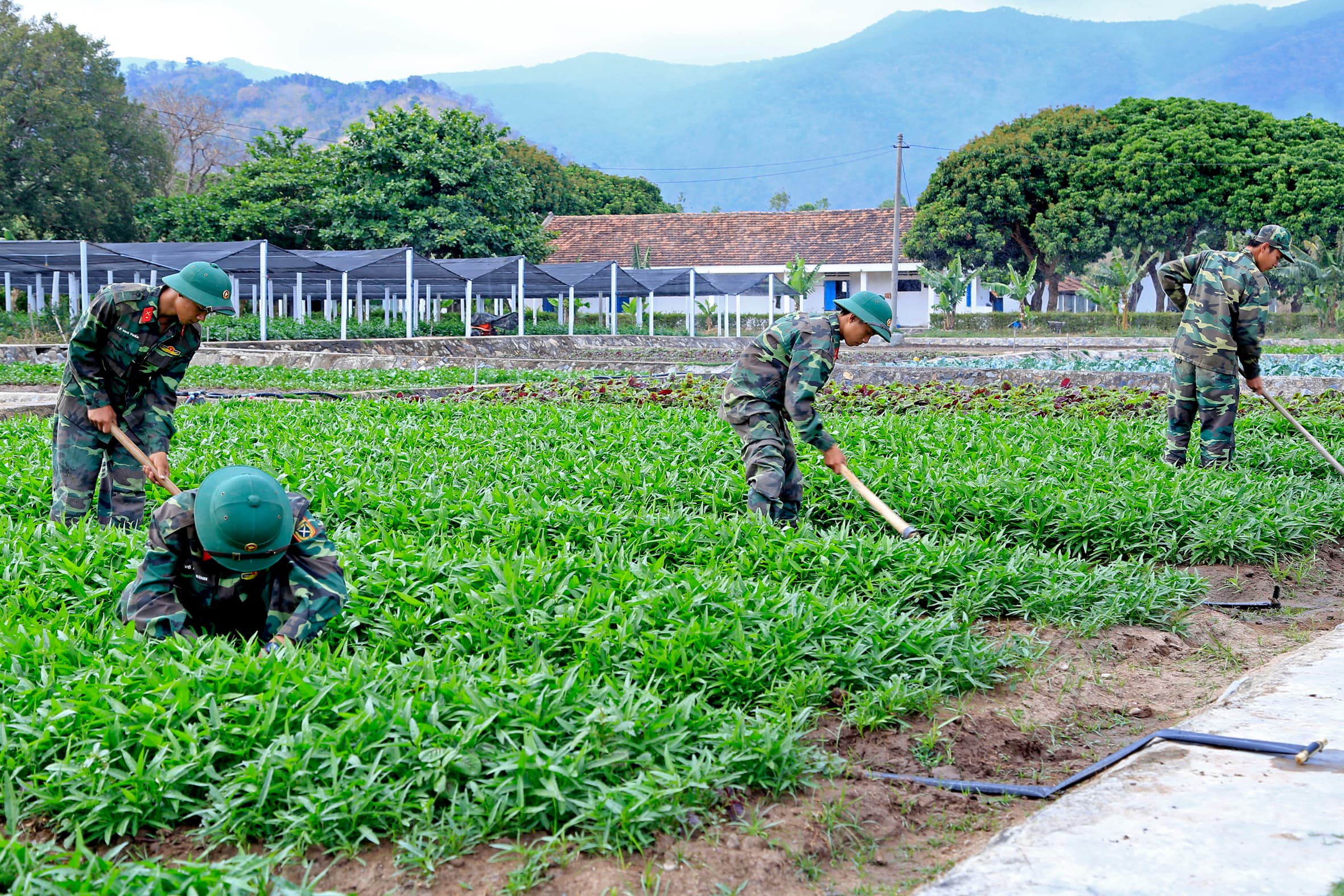 Vượt khó bảo đảm đời sống bộ đội