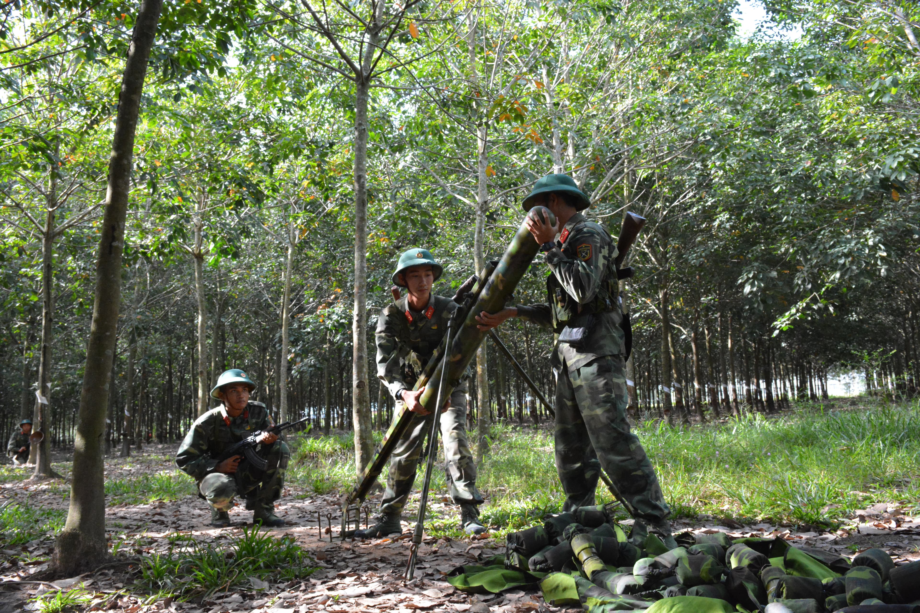 Xanh, đỏ Đồng Dù