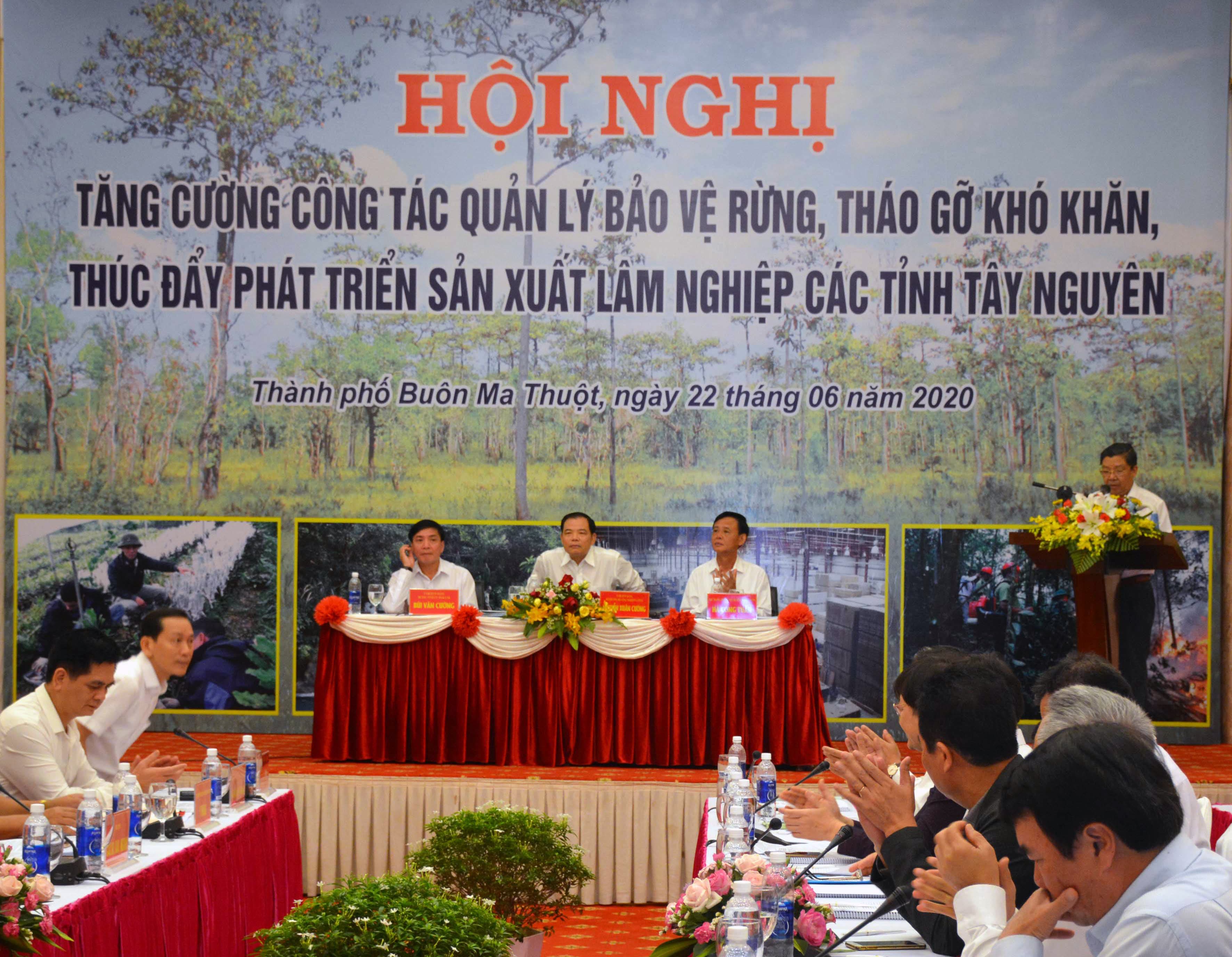 Tình trạng phá rừng ở các tỉnh khu vực Tây Nguyên vẫn diễn biến phức tạp