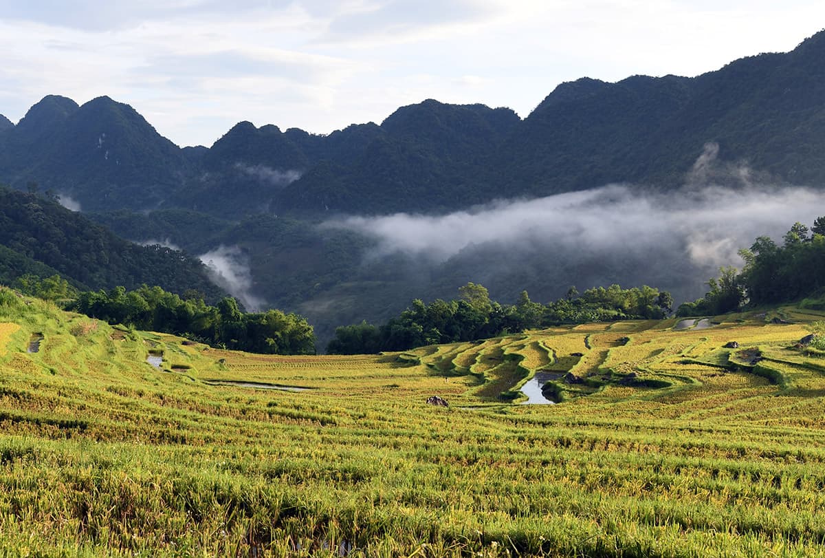 Pù Luông đẹp nhất vào mùa lúa chín