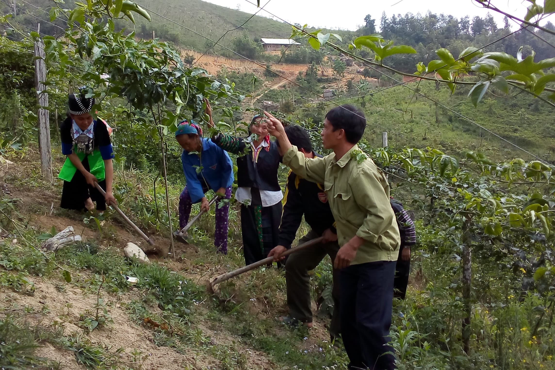 Hiểu phong tục tập quán để làm lợi cho dân