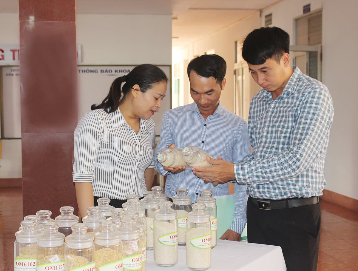 Khó khăn trong quản lý giống cây trồng