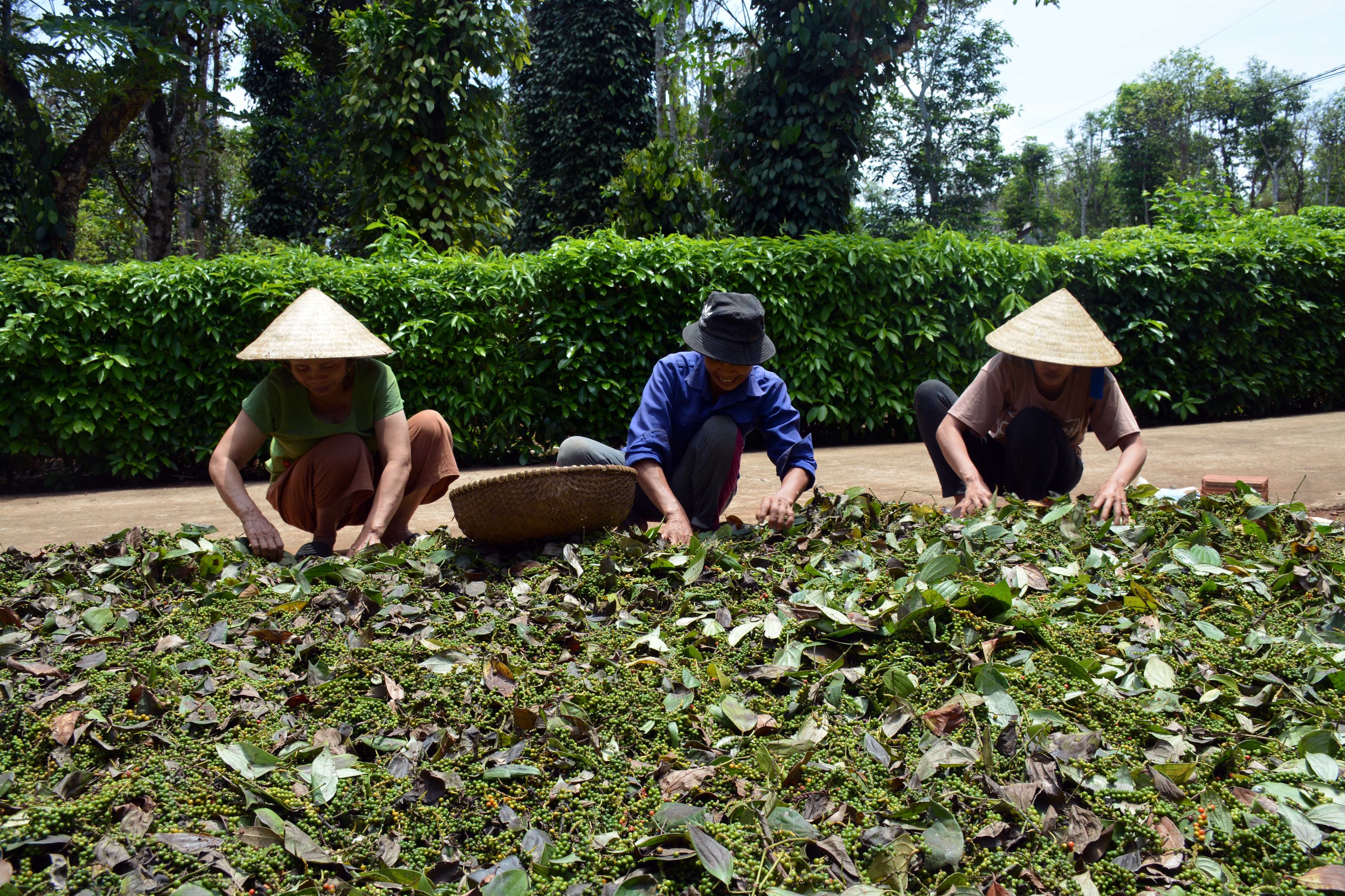 Lồng ghép các nguồn lực để thực hiện mục tiêu xây dựng nông thôn mới