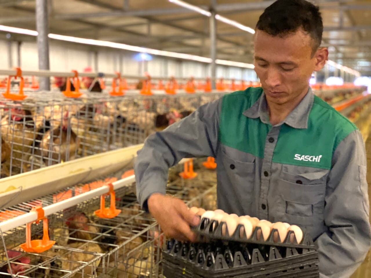 Kinh tế những tháng cuối năm-nhiều cơ hội tăng tốc