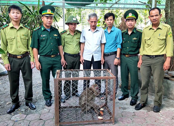 Bàn giao cá thể khỉ mốc cho Vườn quốc gia Vũ Quang