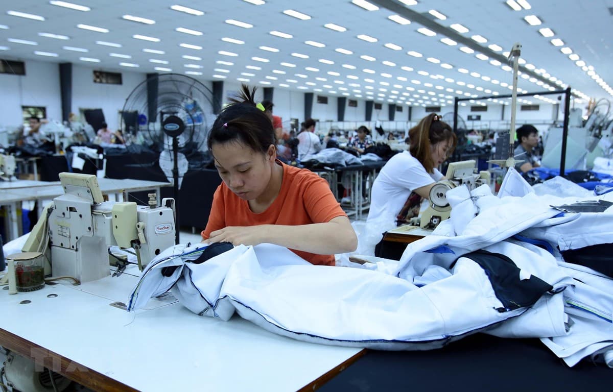 Có những loại hợp đồng lao động nào?