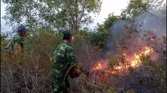 Đà Nẵng: Hơn 220 cán bộ, chiến sĩ tham gia chữa cháy rừng