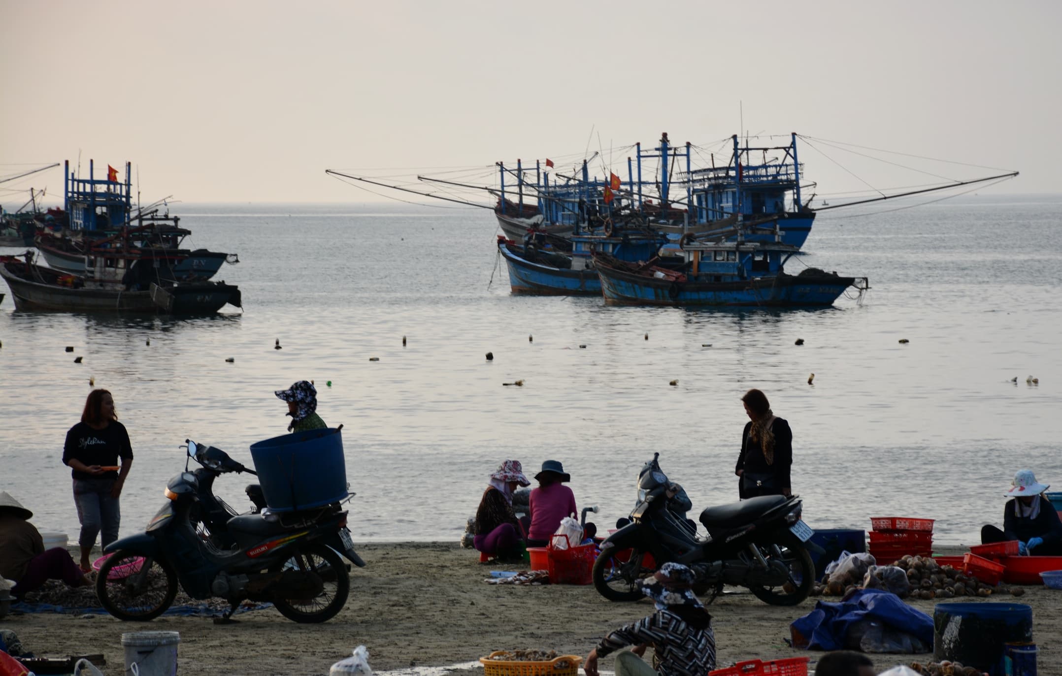 Nhộn nhịp chợ cá ven biển Sơn Trà