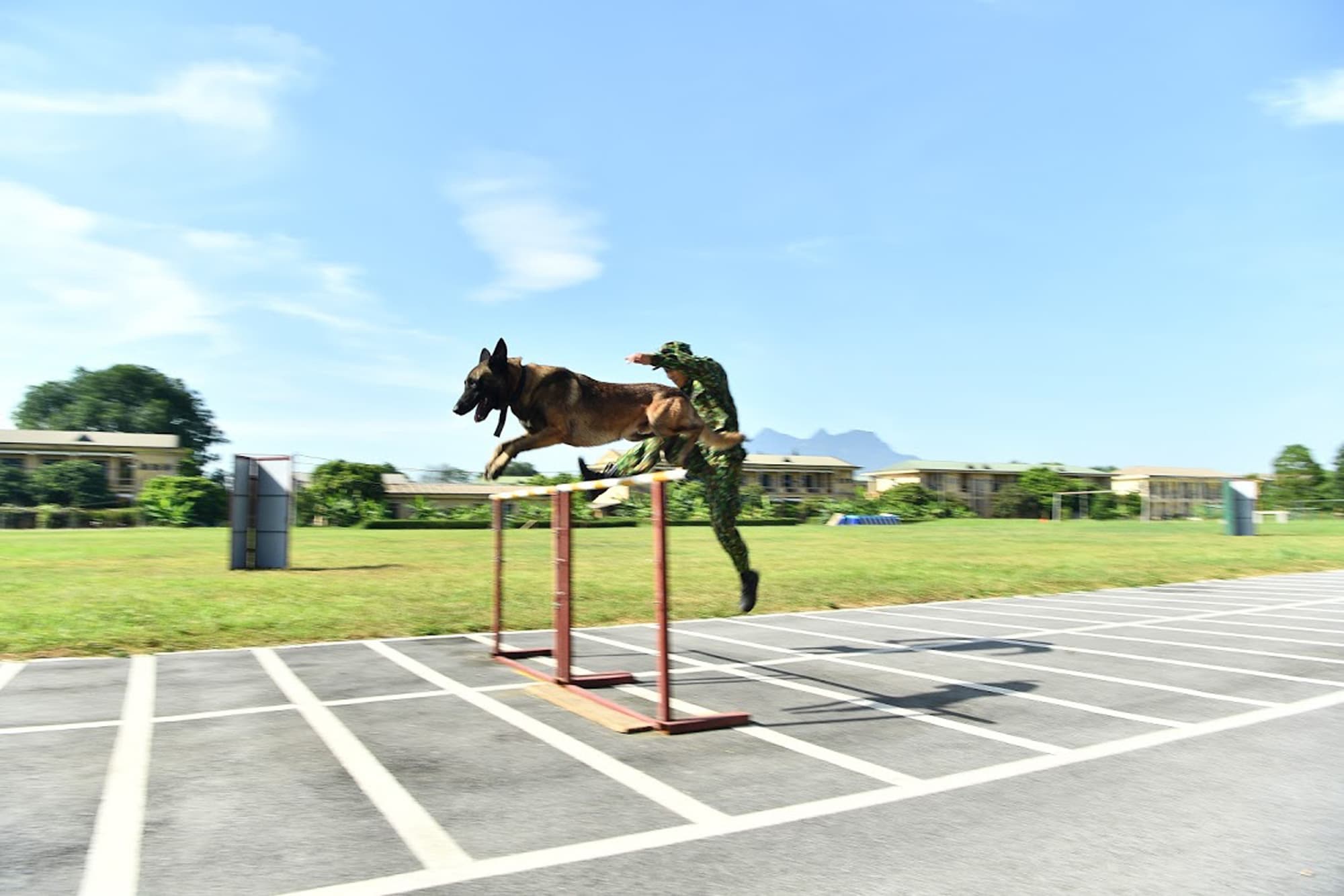 Chó nghiệp vụ biên phòng sẽ lần đầu tranh tài tại Army Games 2020