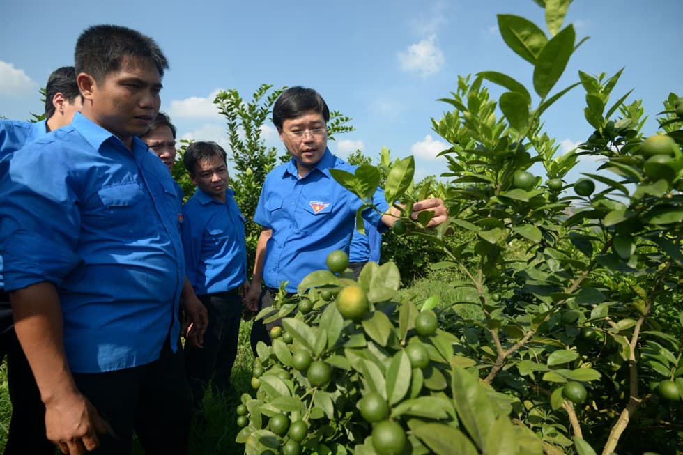 Nắm bắt trúng để tham mưu đúng