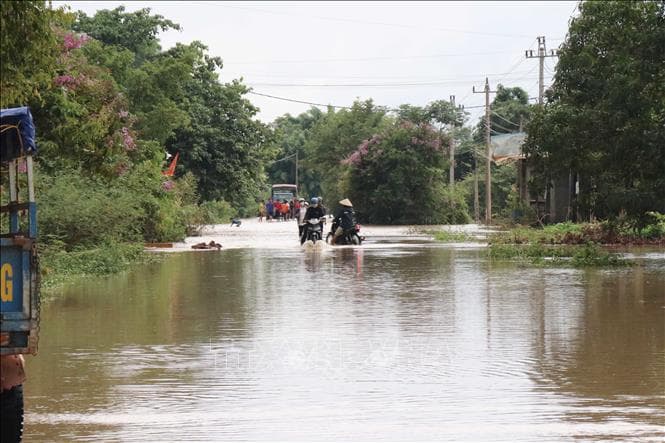 Mưa lớn gây ngập lụt gần 1.000 nhà dân cùng hàng ngàn ha cây trồng ở Đắk Lắk