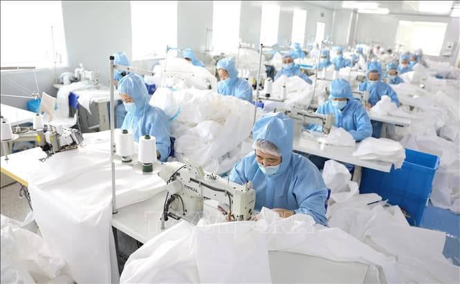Triển vọng việc làm của thanh niên ở châu Á-Thái Bình Dương bị ảnh hưởng bởi Covid-19