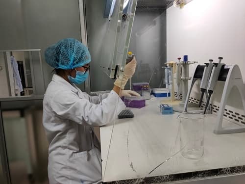 Việt Nam duy trì thứ hạng cao về Chỉ số đổi mới sáng tạo toàn cầu
