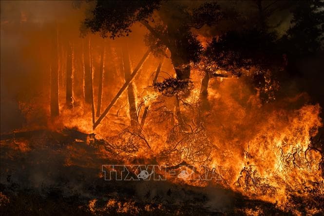 Mỹ: Giải cứu hơn 200 người mắc kẹt do cháy rừng ở California