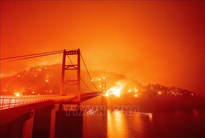 Mỹ: Tất cả rừng quốc gia ở California đã đóng cửa vì cháy
