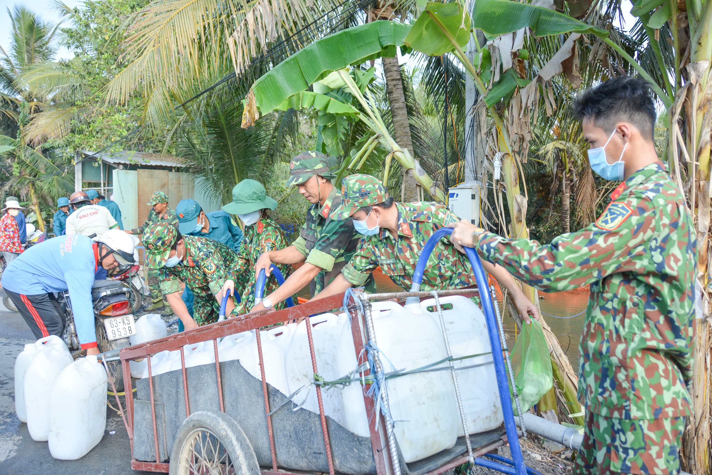 Màu xanh trên vùng hạn mặn
