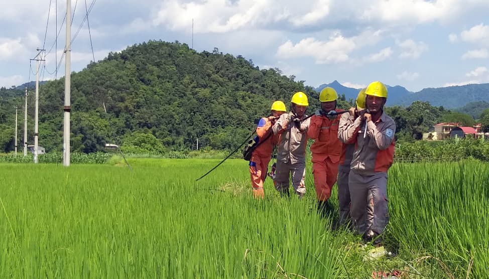 Chủ động ứng phó với áp thấp nhiệt đới có khả năng mạnh lên thành bão