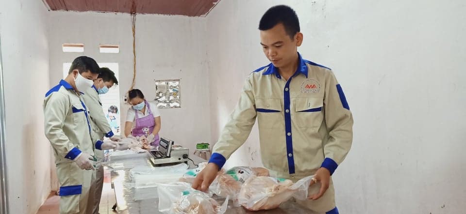 Hiệu quả của nuôi gà thả đồi bằng thức ăn thảo dược