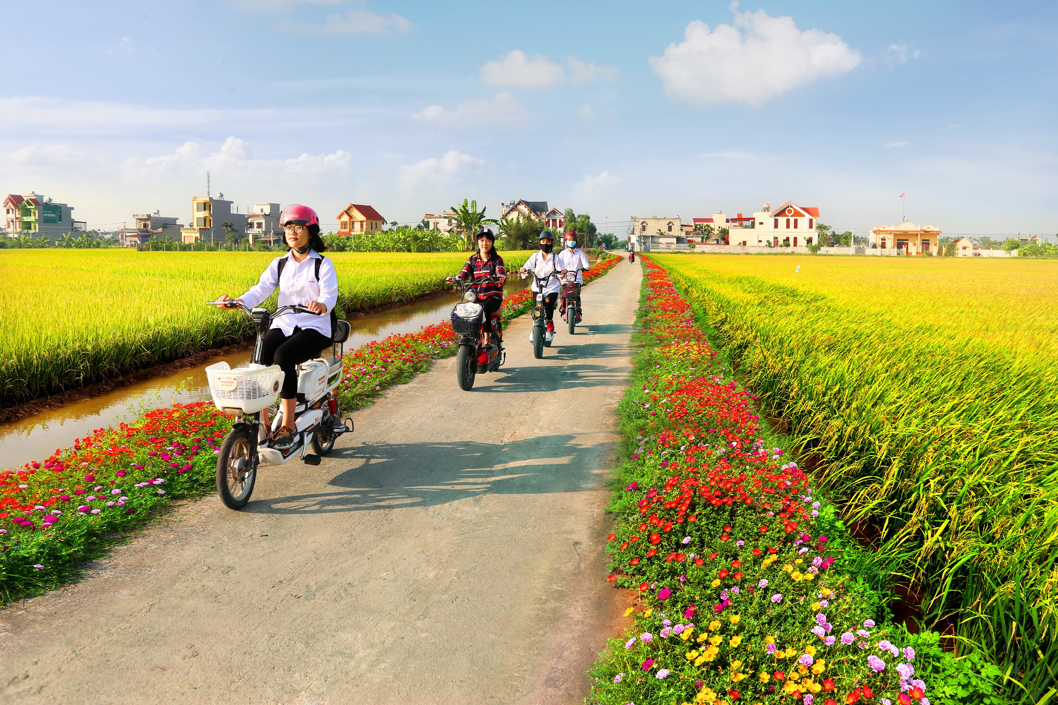Tạo thế và lực mới đưa Nam Định phát triển đột phá