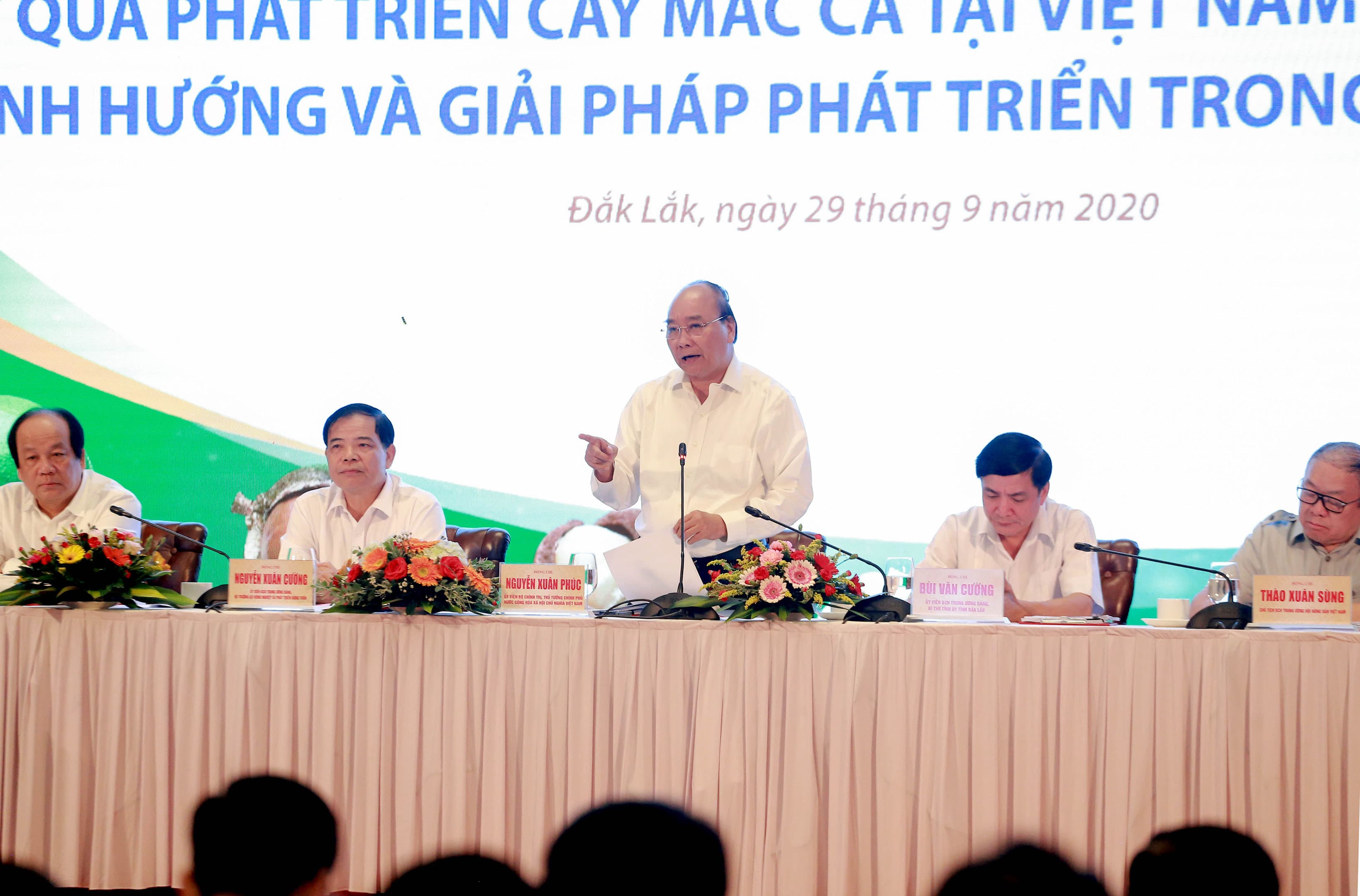 Thủ tướng Nguyễn Xuân Phúc: Phải nghiên cứu, xây dựng chiến lược về phát triển cây mắc ca ở Việt Nam