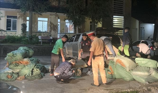 Cao Bằng: Bắt giữ 800kg thuốc lá nguyên liệu không rõ nguồn gốc