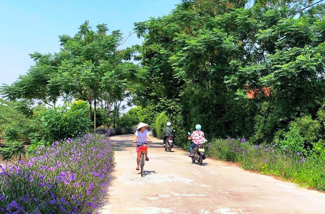 Hoa thắm đường quê