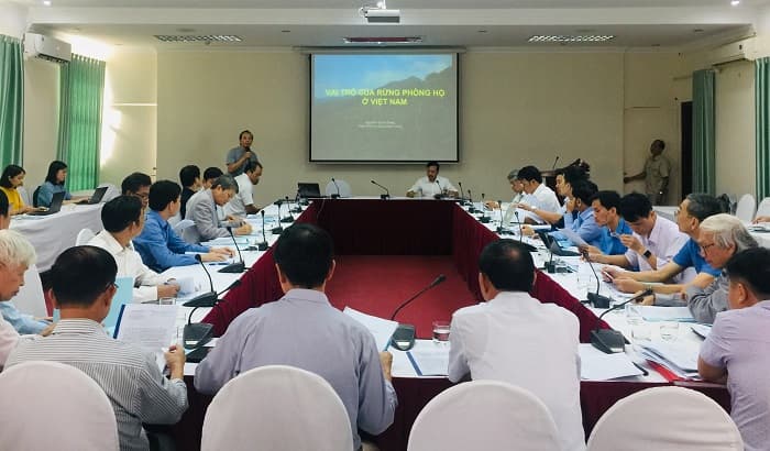 Sửa đổi, bổ sung các chính sách hiện hành cho quản lý rừng bền vững