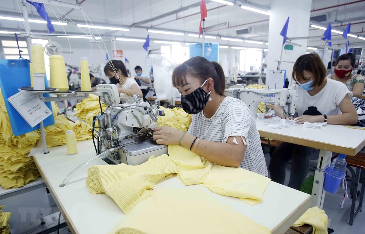 Các doanh nghiệp siêu nhỏ, nhỏ và vừa là chìa khóa trong công cuộc phục hồi kinh tế sau dịch Covid-19