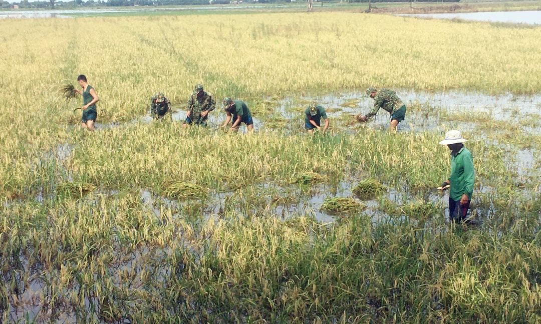Sâu đậm tình quân dân
