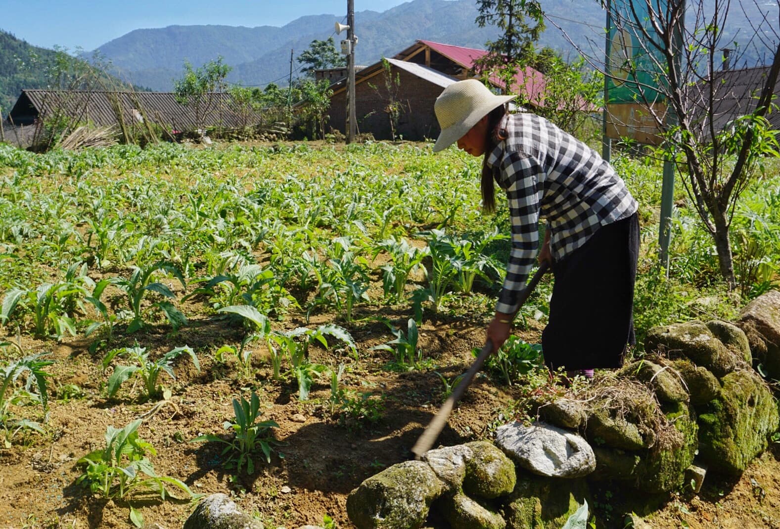 Lào Cai: Tìm lời giải để phát triển sản phẩm OCOP