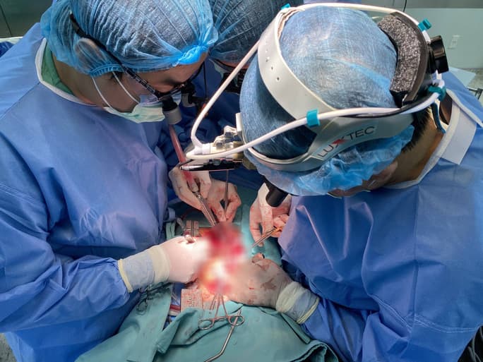 Bộ trưởng Bộ Y tế gửi thư khen ca hiến, ghép, vận chuyển đa tạng cứu sống 4 bệnh nhân suy tạng nặng