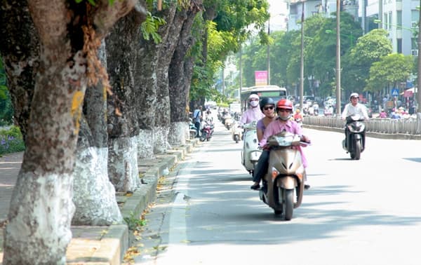 Các tỉnh Bắc Bộ ngày nắng, đêm không mưa, trời rét