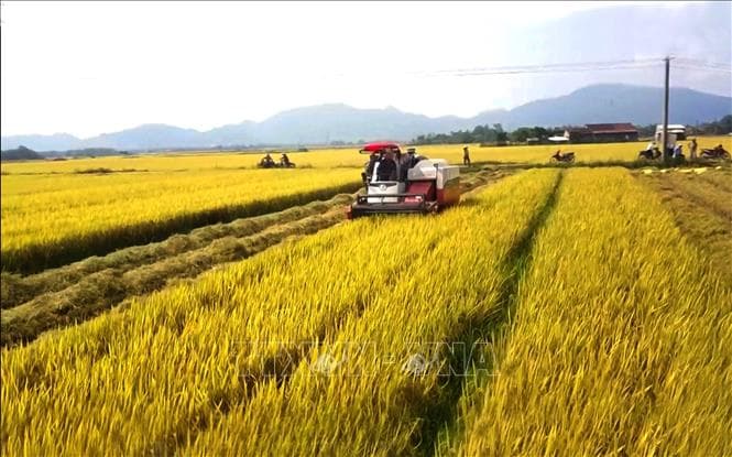 Người nông dân và tư duy đổi mới