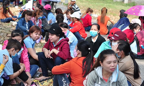 Đồng Nai phấn đấu tăng thu, giảm nợ Bảo hiểm xã hội