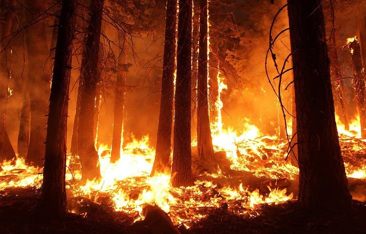 Mỹ: Cháy rừng khiến hơn 7.000 người phải sơ tán tại bang California